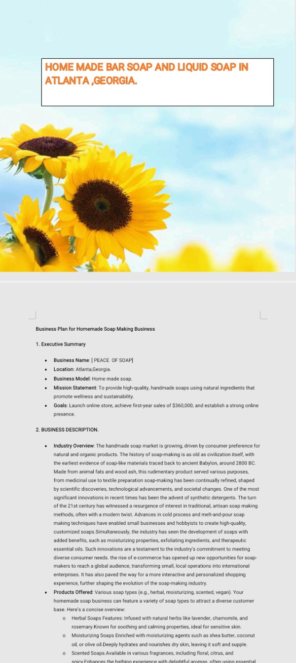 Business proposal for small and medium start ups in any country.